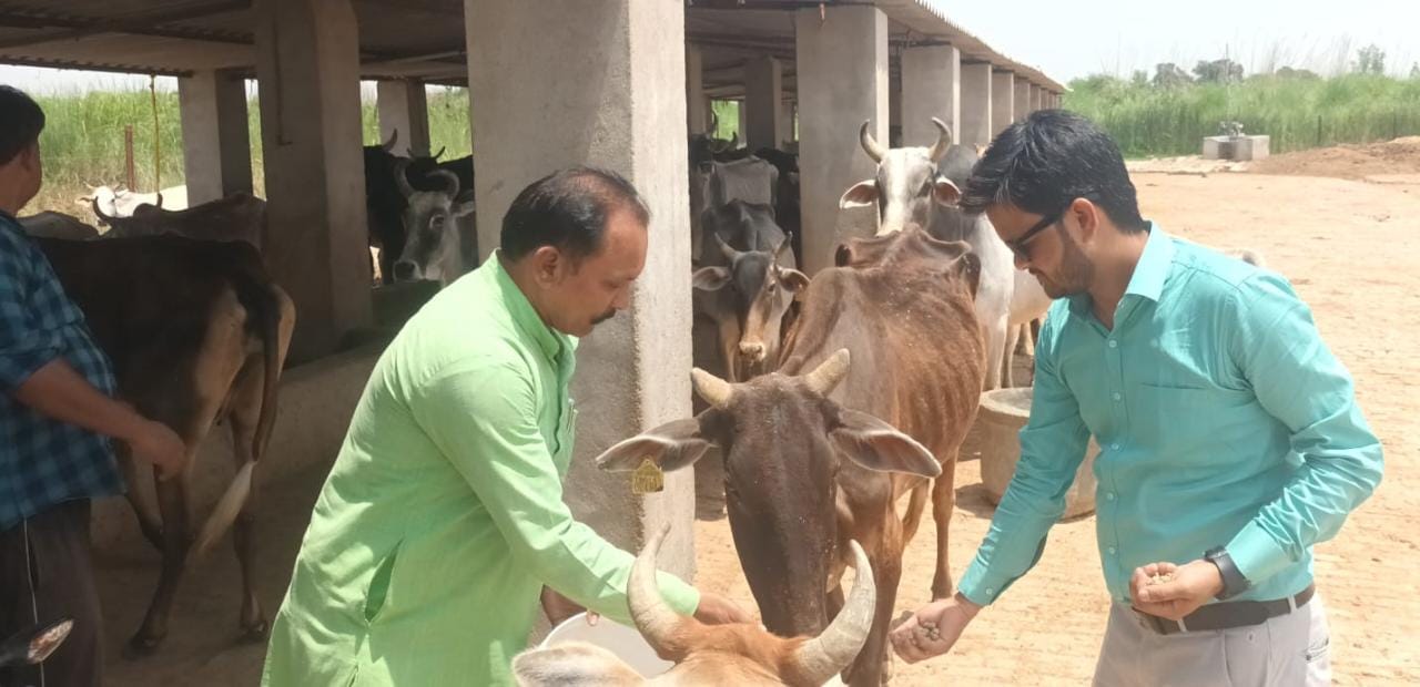 गौ-आश्रय का मुआयना:वार्डो में सफाई कर्मचारी नही मिलनें पर ईओ ने थमाया नोटिस,सफाई नायक को चेतावनी