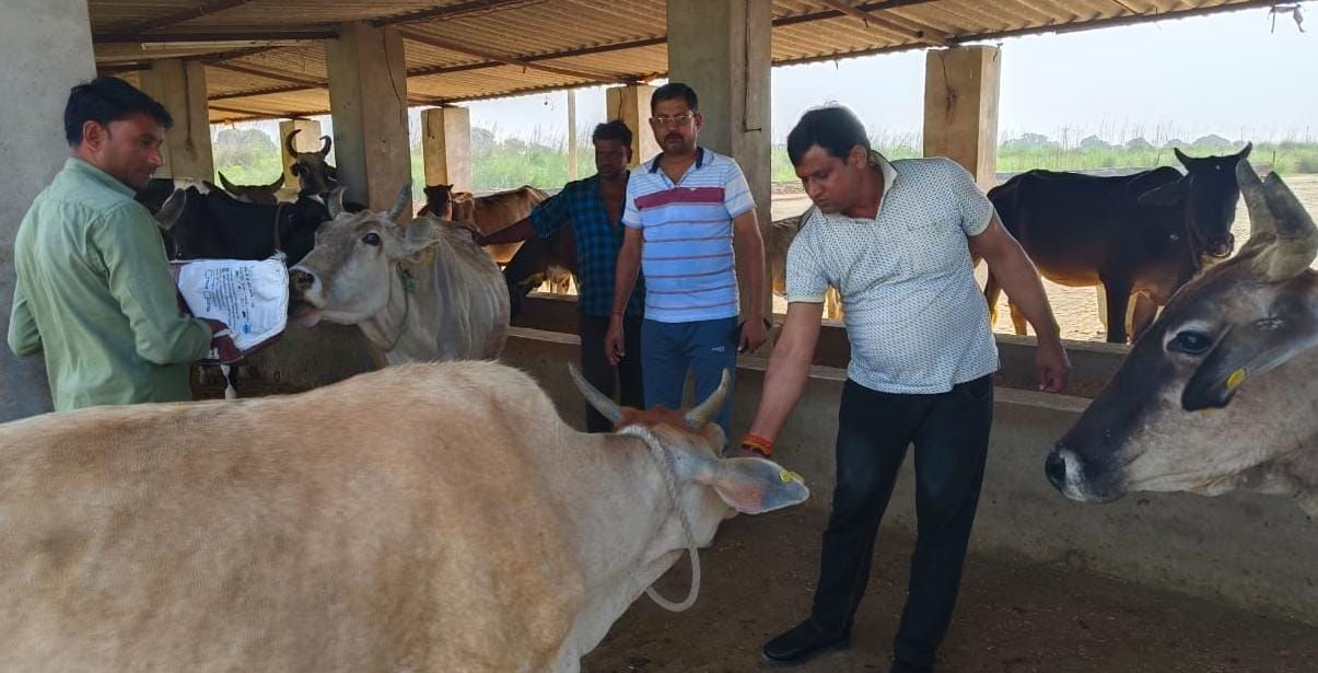 गौ-आश्रय में लापरवाही मिलने पर होंगी कार्रवाई :नपं अध्यक्ष अरूण दुबे