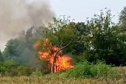 रंजिशन सरसों की फसल में लगाई गई आग,पुलिस कर रही जांच