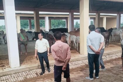 शासन के प्राथमिकता वाले सभी निर्माण कार्यो में गति लाए,डीडीओ ने गोशाला का किया निरीक्षण