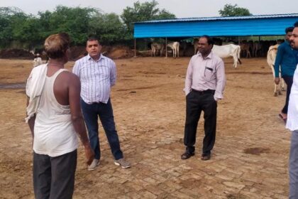 गौवंश की मौत लापरवाही:पांच केयर टेकरों को हटाते हुए प्रधान और सचिव को नोटिस,अब कैमरे से होगी निगरानी