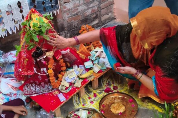 वैदिक रीति से तुलसी विवाह:नमो नमो तुलसा महारानी