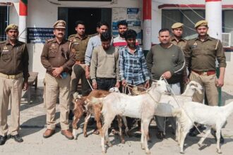 बकरी चोर गिरोह के पांच सदस्य अछल्दा में बकरियों समेत गिरफ्तार,तमंचा नकदी बरामद