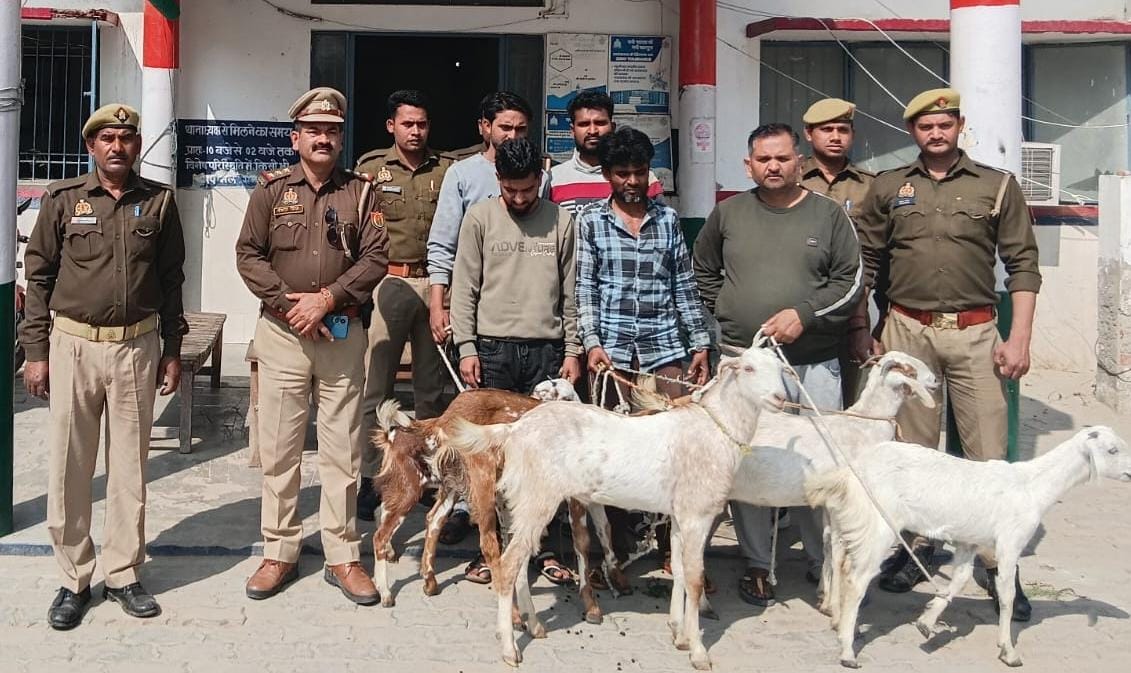 बकरी चोर गिरोह के पांच सदस्य अछल्दा में बकरियों समेत गिरफ्तार,तमंचा नकदी बरामद
